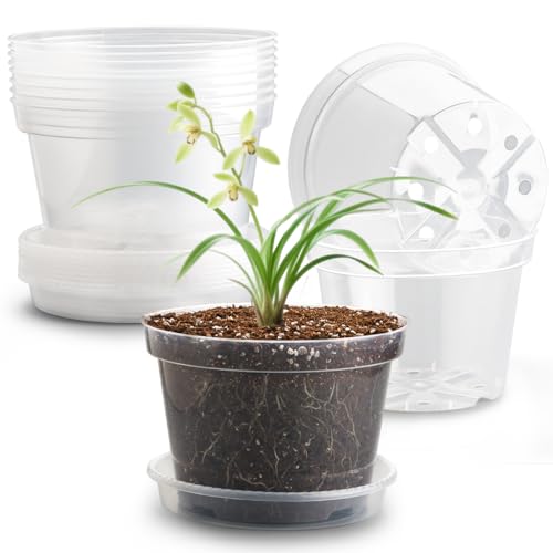 RooTrimmer 12 Pack 8 Inch Clear Plant Pots with Saucers Transparent Plastic Nursery Pots with Drainage Hole Sturdy Garden Planter Pots Planting Starter Pots for Indoor Outdoor