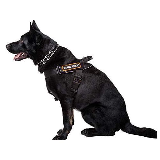 DINGO GEAR Arnés Multifuncional para Perro en el Trabajo, Entrenamiento de Perro Guardia, K9 e Ipo, Sistema Cobra Hecho a Mano Negro S03195, M