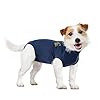 MPS Medical Pet Shirt for Dogs Blue...