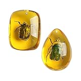Ximimark 2 PCS Amber Beetle 2 PCS Amber Beetle Fossil Natural True Insect Specimens Manual PolishingFossil Natural True Insect Specimens Manual Polishing