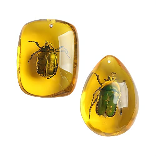 Image of Ximimark 2 PCS Amber Beetle 2 PCS Amber Beetle Fossil Natural True Insect Specimens Manual PolishingFossil Natural True Insect Specimens Manual Polishing