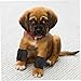 BESPORTBLE Pet Leg Sleeve Dog Leg Protectors Dog Warmers Warm Cover Brace Knee Pad for Pain Relief