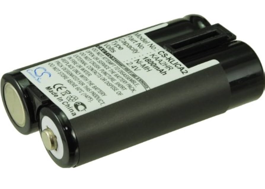 Amazon.com: BP-DM10 1800mAh Battery Compatible with Discman