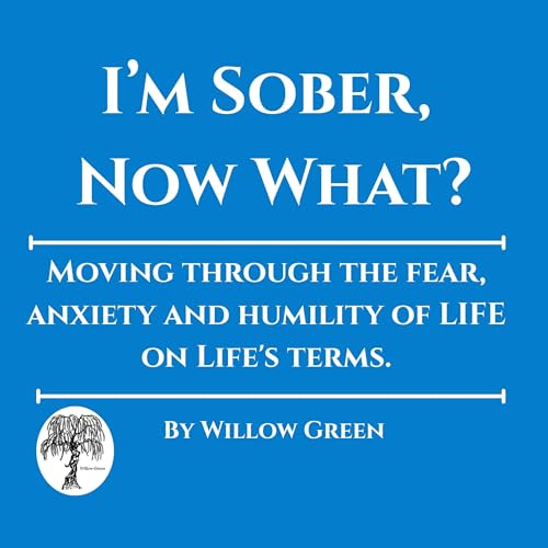 Page de couverture de I'm Sober, Now What?