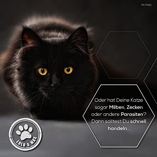 Lolo & Max - Floh- und Zeckenmittel für Katzen 100% Natürlicher Spot On - Bis zu 8 Monate Abwehr & Bekämpfung von Flöhen & Parasiten (Zecken,Milben,Läuse,Haarlinge,Wanzen) - Mittel gegen Flöhe - 40ml