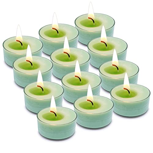 Missyo 12 Pack Vanilla Tealights Bulk, Green Scented Tea Light Candles For Home Decor And Table Centerpieces Green Scented Tealights Pack Of 12 #TOP12