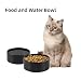 Havniva Keramik 13cm Set von 2 Hund- und Katzen-Schalen, Futter- und Wasser-Futterstelle für Spielrasse-Hunde, Kittys, Katzen, 2 Stück Hund- und Katzen-Geschirr (2 Schalen, Schwarz)