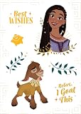 Disney Wish - Adhesivo decorativo para pared, 50 x 70 cm, diseño con texto 'Best Wishes', color rosa
