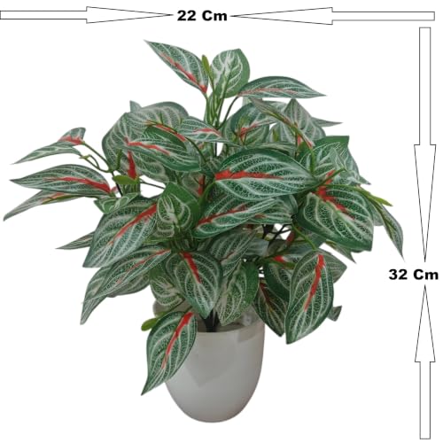Image of Natural Looking Artificial Money Plant /Tree with Pot | Ornamental Plant for Interior Decor | Home /Shop /Office Decor (Red-Green-New)
