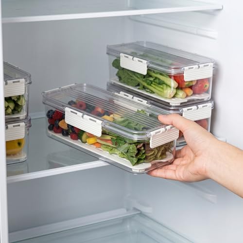Image of Divided Fridge Storage Boxes With Serving Veggie Tray with Lid and Handle, Fridge Organizer with Removable Compartment, Fridge Storage Containers (Fridge Container)