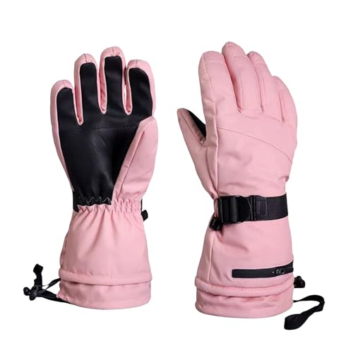 XL[O[u Y fB[X ~ N g  h X}zΉ ܖ{w ӂӂ   Xm{[O[u jp hh H  ʋ ʊw XL[ oR NX}Xv[g(bh,L)