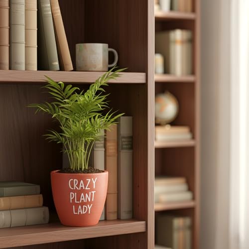 Image of Urban Plant Playful Clay Canvas Terracotta Pot with Drainage Hole (5.1 Inch) | inchCrazy Plant Lady inch Decorative Planter | Breathable Clay Pot for Indoor Plants | Ideal for Home Decor, Gifts, Desk.