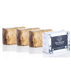 Sabun Co. – Pure Loofah Cleaning soap Bar – Vegan Base Soaps – Exfoliating Luffa Cleaning soap…