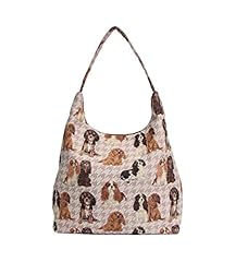 Cavalier King Charles Spaniel Dog