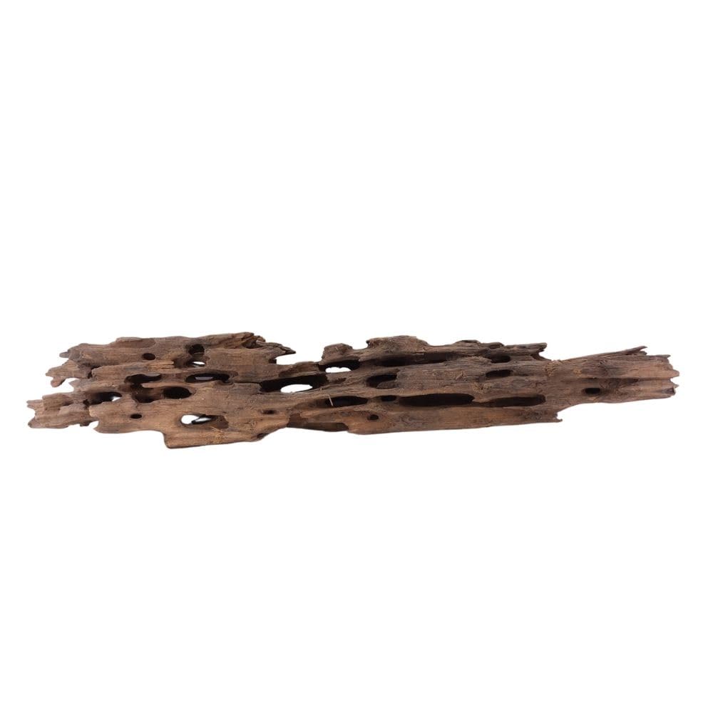 XL Honey Comb Raíz nº 1946 Acuario Raíz Mangrove Madera Decoración Paisaje Musgo Naturaleza Madera Auténtica