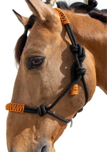 Licol en corde H3 Los Nietos noir avec finition fil pour équitation