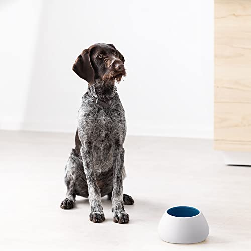 Navaris Design Futternapf aus Steingut - hoher Hundenapf - Fressnapf Futterschale - Napf für Cocker Spaniel Hund und langohrige Hunde - Langohrnapf