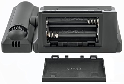 Bresser TemeoTrend P