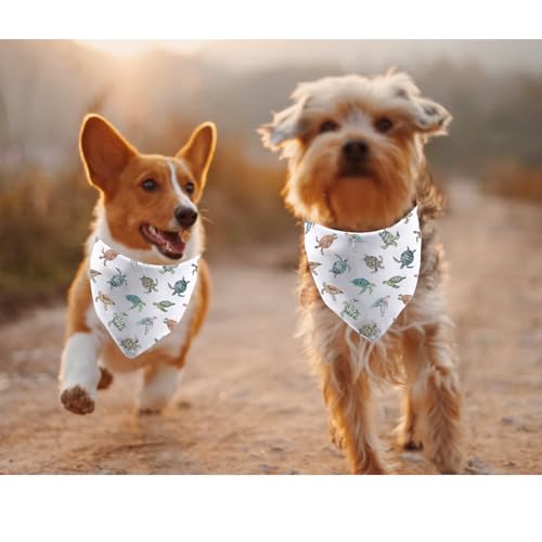 Bandana pour chien tortue de mer écharpe été chiot et cadeau vie océan
