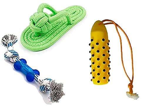 Dog Trust Combo Pet Chew Toys for Small Puppies only | Dog Chewing Shoes Cotton Rope Molar Toy for Dog Play Cat for Pet Dog - Pack of 3 (1 Tyre, 1 Slipper, 1 Rope) (B099NR7FQK) Amazon Price History, Amazon Price Tracker