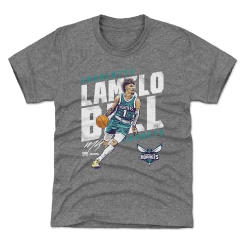 500 LEVEL LaMelo Ball Charlotte Hornets Slant White Gray