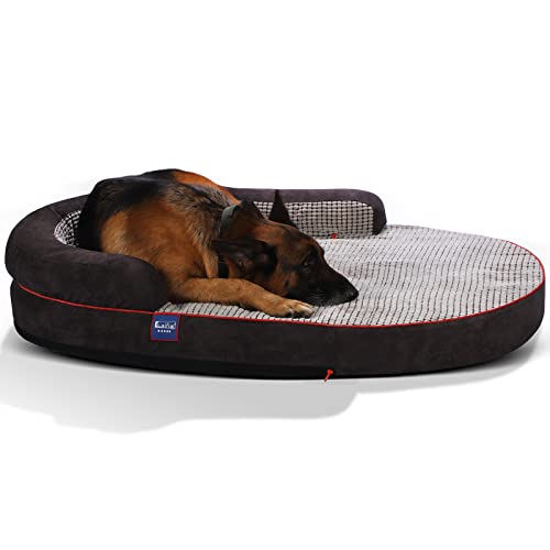 Laifug Memory Foam Oval Dog Bed (54X36X9Inch, Brown), Orthopedic Dog Bed For X-Large Dogs With Durable Waterproof Liner & Removable Washable Cover & Nonskid Bottom #TOP26