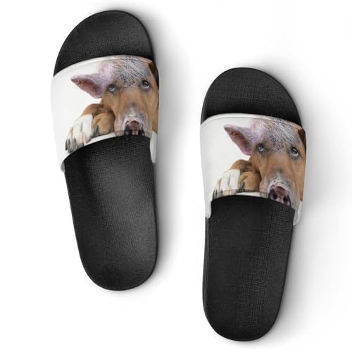 Sandales Chaussons de Maison Slide : Claquettes Femme Antidérapantes Cochon de Neige Anti-Glisse