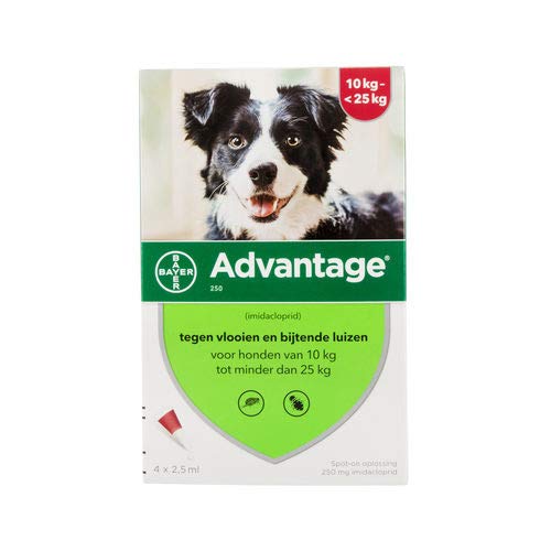 advantage 250 for dogs