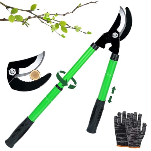 Tijeras De Podar Telescópicas de 42 a 61 cm, Tijeras Podar Profesional Extensible, Pueden Recortar Ramas Gruesas De 40MM,...