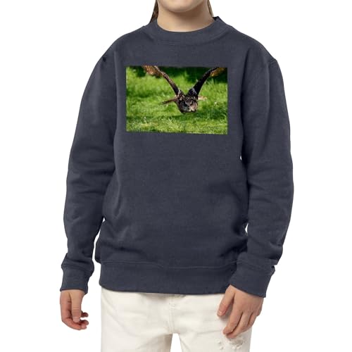 Sweatshirt chouette en vol enfant pull aux finitions soignées