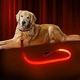 LED Dog Leash, Dlitk Light Up Dog Leash Micro USB Rechargeable, Nylon Webbing Glow Safety Standard D