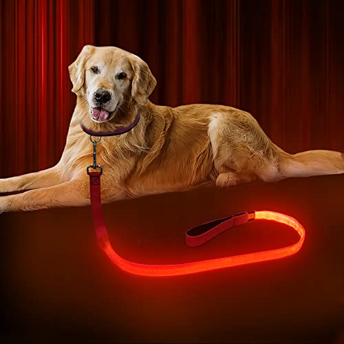 Led Dog Leash, Dlitk Light Up Dog Leash Micro Usb Rechargeable, Nylon Webbing Glow Safety Standard Dog Leashes For Dogs 4 Ft (Red) #TOP4