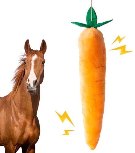 OOXYG Squeaky Carrot Toy