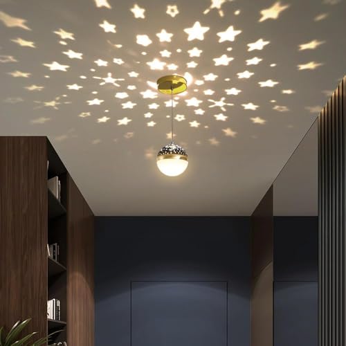 Plafonnier projecteur LED variable 12W effet lustre moderne