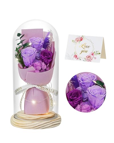 HVY Preserved Flowers Bouquet with LED Lights in Glass Dome Perfect Gifting for Her, Forever Real Flower Suitable for All Occasions Birthday Mothers Day Anniversary Thanksgiving (Purple)