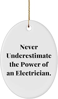 Never Underestimate The Power of an Electrician. Oval Ornament, Electrician for Electrician