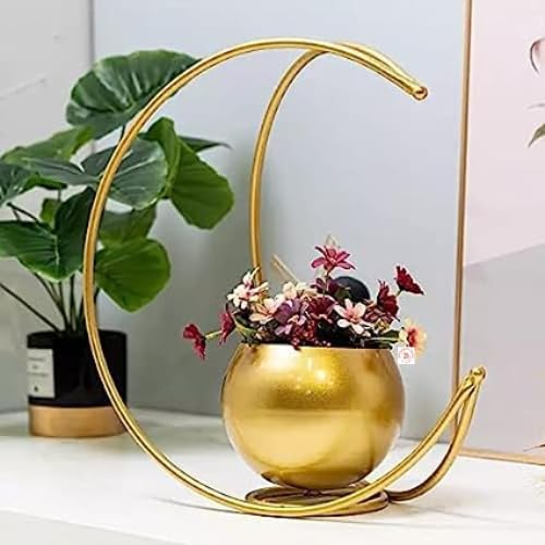See full amazon price history chart for 2BP Flower Pot Geometric Design Vase in Gold Finish 24X24cm Moon Planter Pot Perfect for Indoor Plants, Flowers, Table, Living Room,Garden Decor with Our Stylish & Durable Metal Planter.Shop Now! 2BP Flower Pot Geometric Design Vase in Gold Finish 24X24cm Moon Planter Pot Perfect for Indoor Plants, Flowers, Table, Living Room,Garden Decor with Our Stylish & Durable Metal Planter.Shop Now! (B0CCLPWSXD) Amazon Price History, Amazon Price Tracker