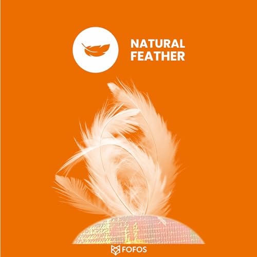 Image of BarkButler x FOFOS Cat Teaser Toy 2asst - Interactive Cat Toys with Catnip - Cat Toy Set - Multicoloured