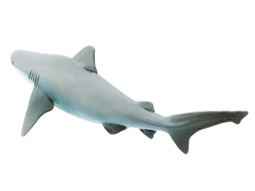 Amazon | Safari (サファリ) オオメジロザメ サメ フィギュア