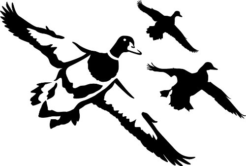 Express Yourself Ducks Jukin 10 Wall Decal (Black - Facing as Shown - Large) - Waterfowl Collection