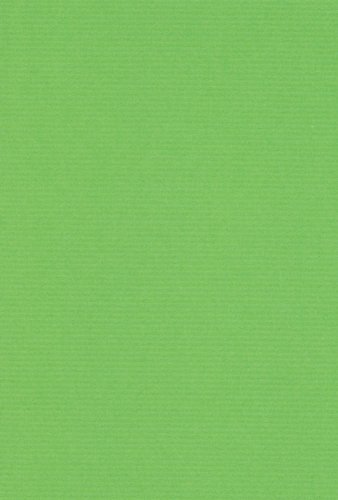 エスケント 色画用紙 ミューズコットン 厚口 A4 もえぎ 10枚 41110004