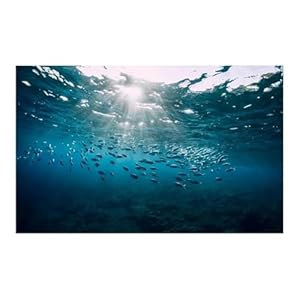 XUMKFJRE 3D Aquarium Hintergrund Poster 50x100cm