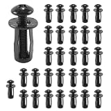 Riven 30PCS M4 Jack Muttern Sortiment Kit, Expansion einfügen Muttern mit Schrauben für hohle Wand Kunststoff Polywood Pressboard Hartfaserplatte (schwarz)