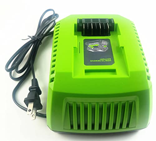 Anoitd 40V Replacement Greenworks 29482 Battery Charger Compatible with Greenworks 40V Battery 29472 29482 29462 2901319 BAF702 L-300 BAF704 BAF705 Replace Charger 29482 C-220