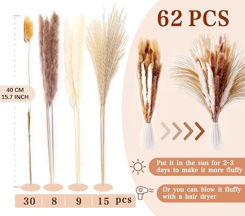 Pampasgras Getrocknet - Natürliche Trockenblumen, Braun、Weiß Pampasgras Flauschige Wedel, Lagurus und Schilfblume Trockenblumen Strauß Dried Flowers, für Blumen Arrangements Heim Decor