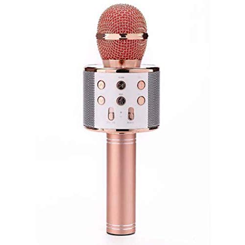 LiaoTI Wireless Bluetooth Karaoke Microphone Portable Karaoke Machine Speaker Home Party Birthday Travel