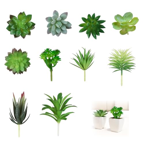 SIXHAOBU 10 Piezas Plantas Suculentas Artificiales