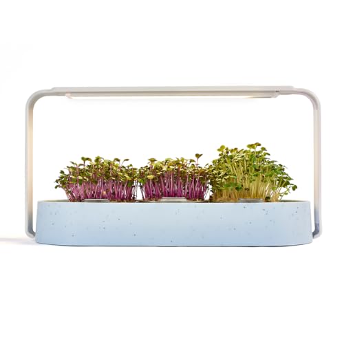 Ingarden Starter-Set – Microgreens Küchengarten in Blau Ozeanplastik-Recycled + 3 Bio-Saatpads – Zieh dir Deine eigenen Microgreens in nur 7 Tagen – 40x mehr Nährstoffe – ohne Erde – modernes Design
