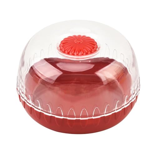 Almacenamiento de frutas para refrigerador Contenedor de conservación para frutas y verduras Contenedor de alimentos para aguacate Food Keeper