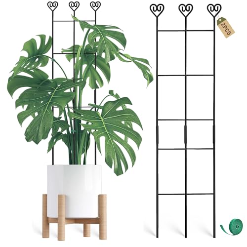 Coomin 2 Pack 32in Monstera Plant Support Stakes for Indoor Plants Stackable Garden Trellis for Climbing Plants Indoor Metal Plant Trellis for Potted Plants Pothos Philodendron